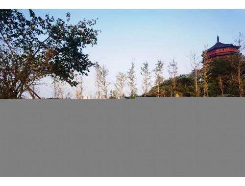 威廉希尔足球官网：乡镇绿化工程简介范文模板