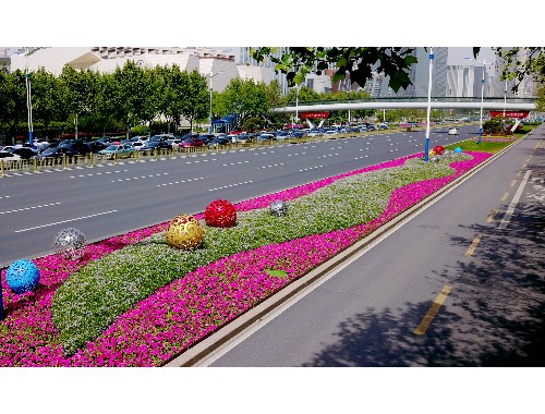 威廉希尔足球官网：应城市绿化工程