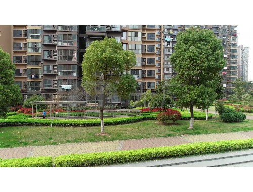 许昌诺诚园林绿化工程有限公司