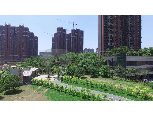 西双版纳垂直绿化工程施工公司